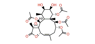 Stecholide N